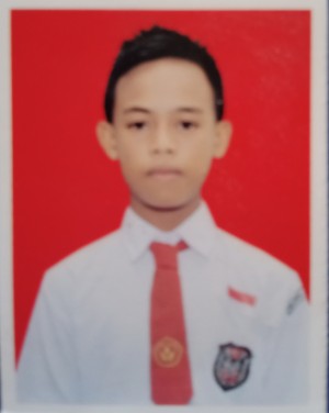 ALFIRSYA S. INGO